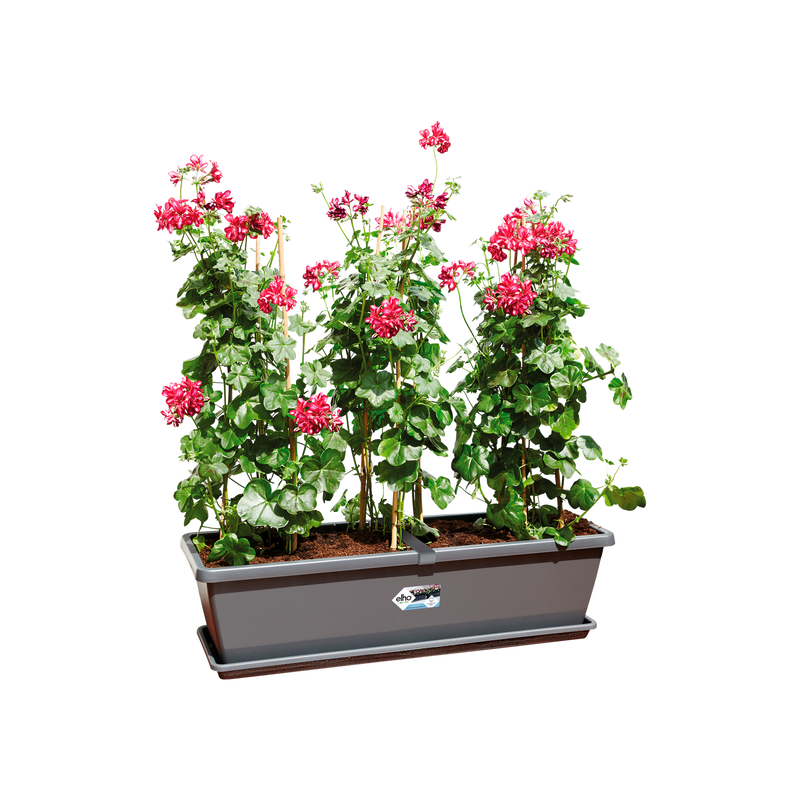 Elho Barcelona Xl range – planted display