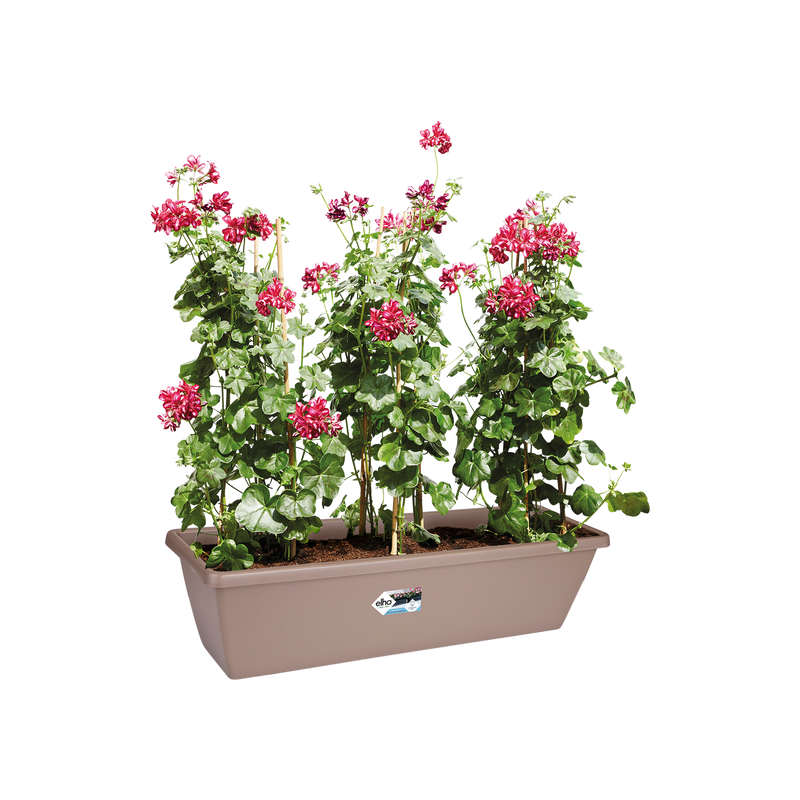 Elho Barcelona Xl range – planted display