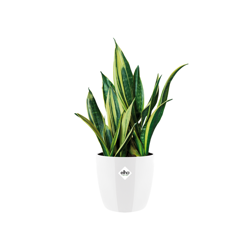 Elho Brussels Diamond Round range – planted display