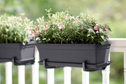Elho Green Basics Trough range – range lifestyle inspiration