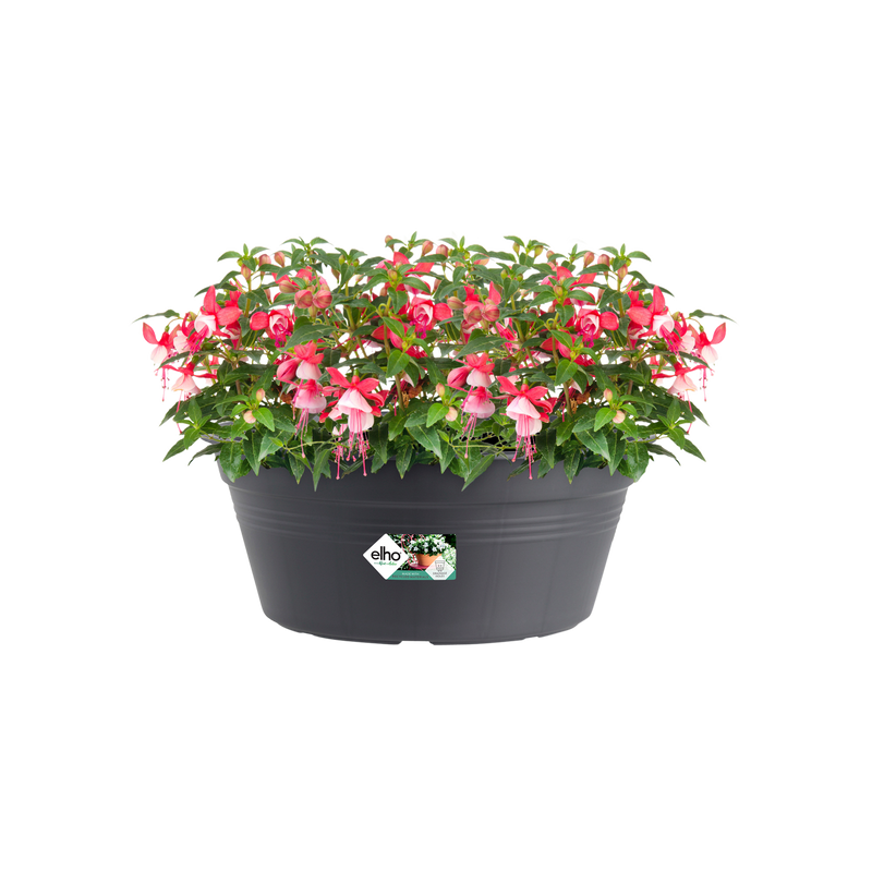 Elho Green Basics Bowl 38cm Living Black – planted display