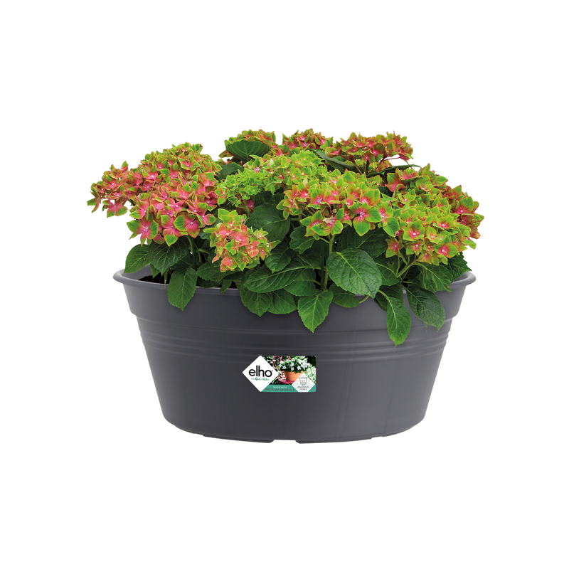 Elho Green Basics Bowl 33cm Living Black – planted display