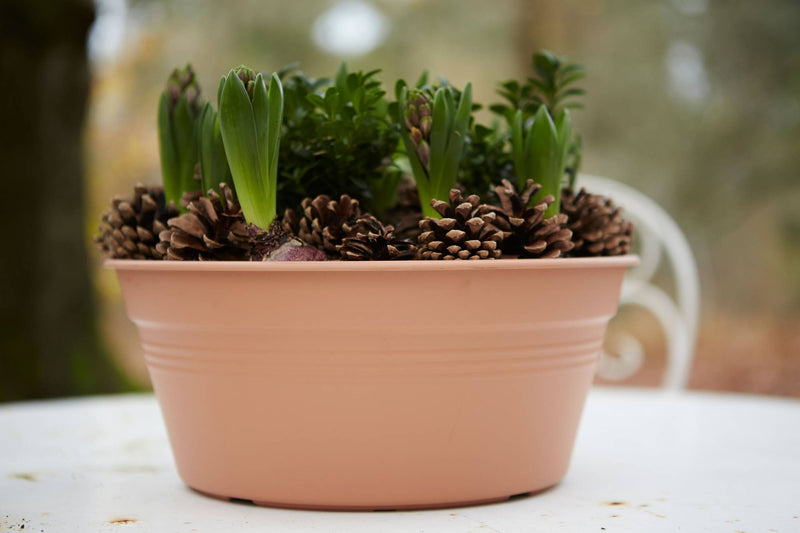 Elho Green Basics Bowl range – range lifestyle inspiration