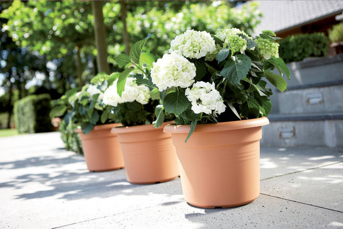 Elho Green Basics Cilinder range – range lifestyle inspiration