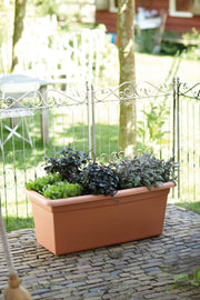 Elho Green Basics Garden Xxl range – range lifestyle inspiration