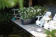 Elho Green Basics Garden Xxl range – range lifestyle inspiration