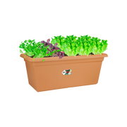 Elho Green Basics Garden XXL 100cm Mild Terracotta – planted display