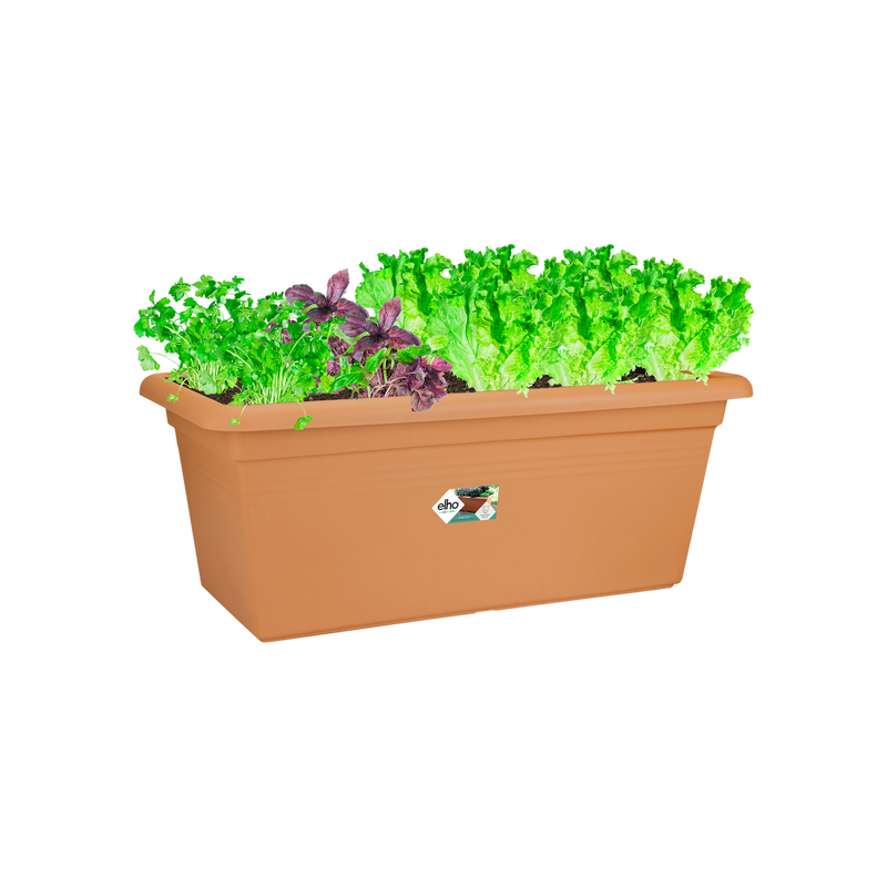 Elho Green Basics Garden XXL 100cm Mild Terracotta – planted display