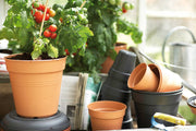 Elho Green Basics Growpot range – range lifestyle inspiration