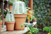 Elho Green Basics Growpot range – range lifestyle inspiration