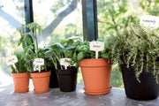 Elho Green Basics Growpot range – range lifestyle inspiration