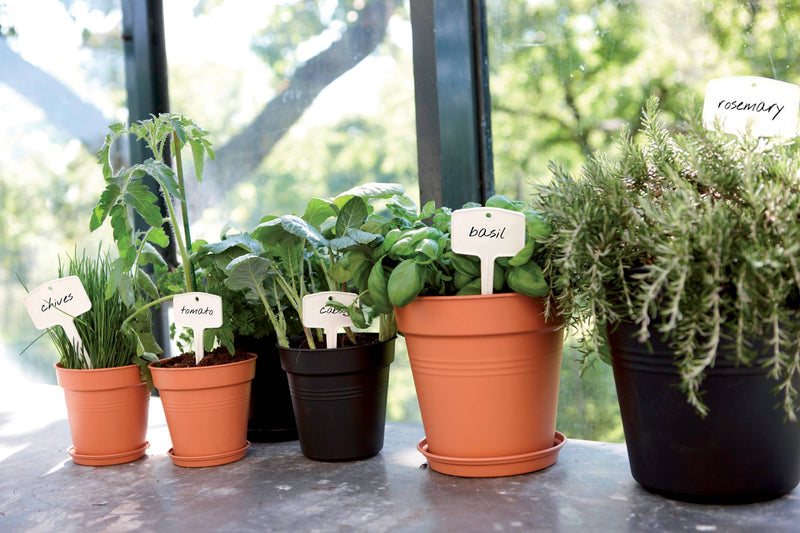 Elho Green Basics Growpot range – range lifestyle inspiration