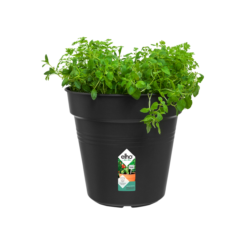 Elho Green Basics Growpot 24cm Living Black – planted display