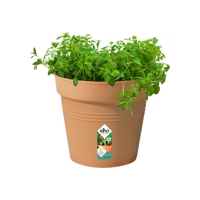 Elho Green Basics Growpot 24cm Mild Terracotta – planted display