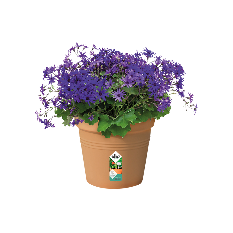 Elho Green Basics Growpot 27cm Mild Terracotta – planted display