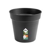 Elho Green Basics Growpot range – additional product view