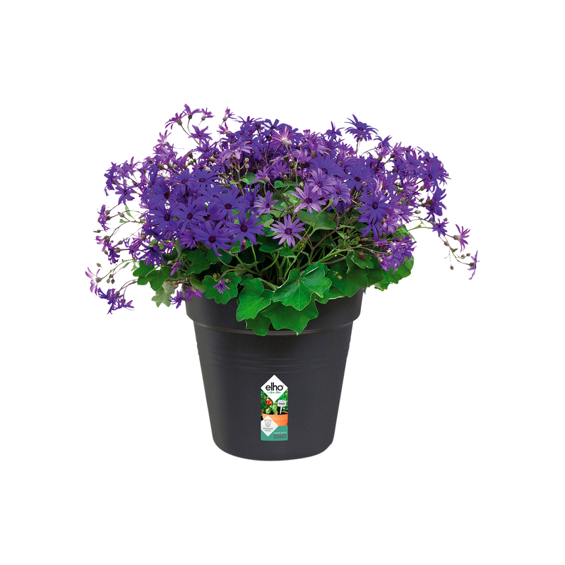 Elho Green Basics Growpot 27cm Living Black – planted display
