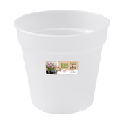 Elho Green Basics Orchid range – additional product view