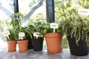 Elho Green Basics Saucer range – range lifestyle inspiration