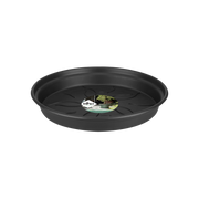 Elho Green Basics Saucer range – additional product view