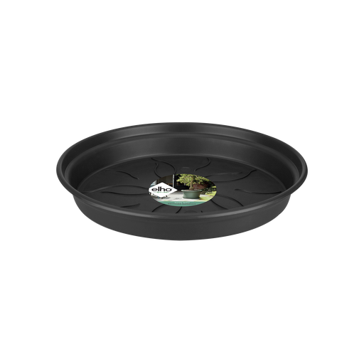 Elho Green Basics Saucer range – additional product view