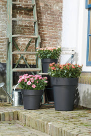 Elho Green Basics Top Planter range – range lifestyle inspiration