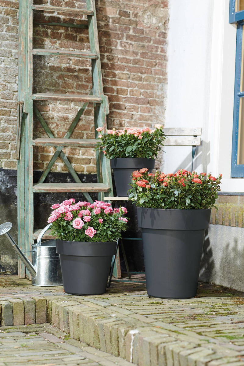 Elho Green Basics Top Planter range – range lifestyle inspiration