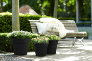 Elho Green Basics Top Planter range – range lifestyle inspiration