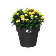 Elho Green Basics Top Planter range – planted display
