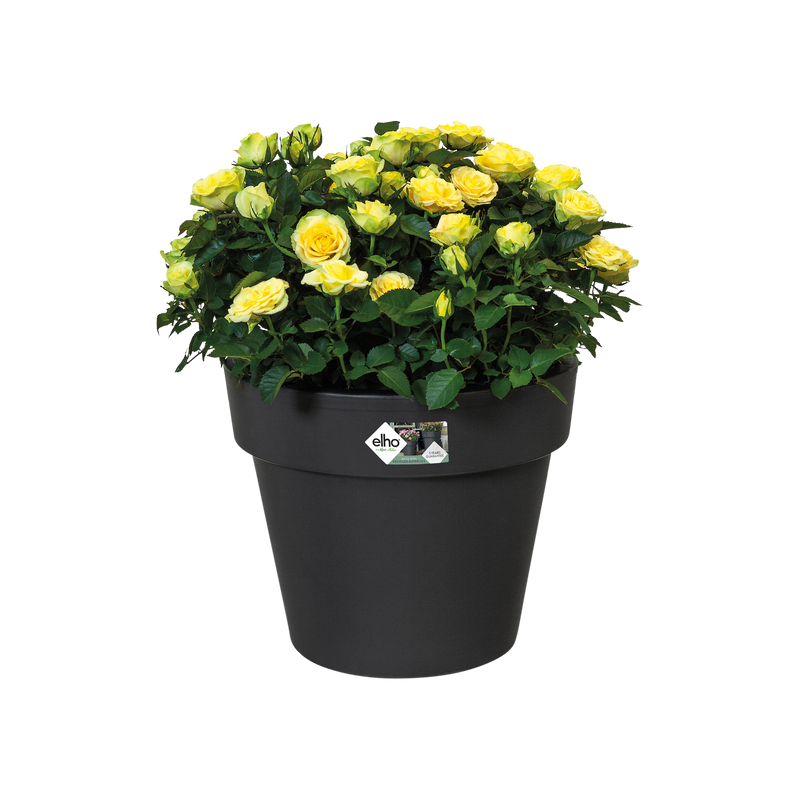 Elho Green Basics Top Planter range – planted display