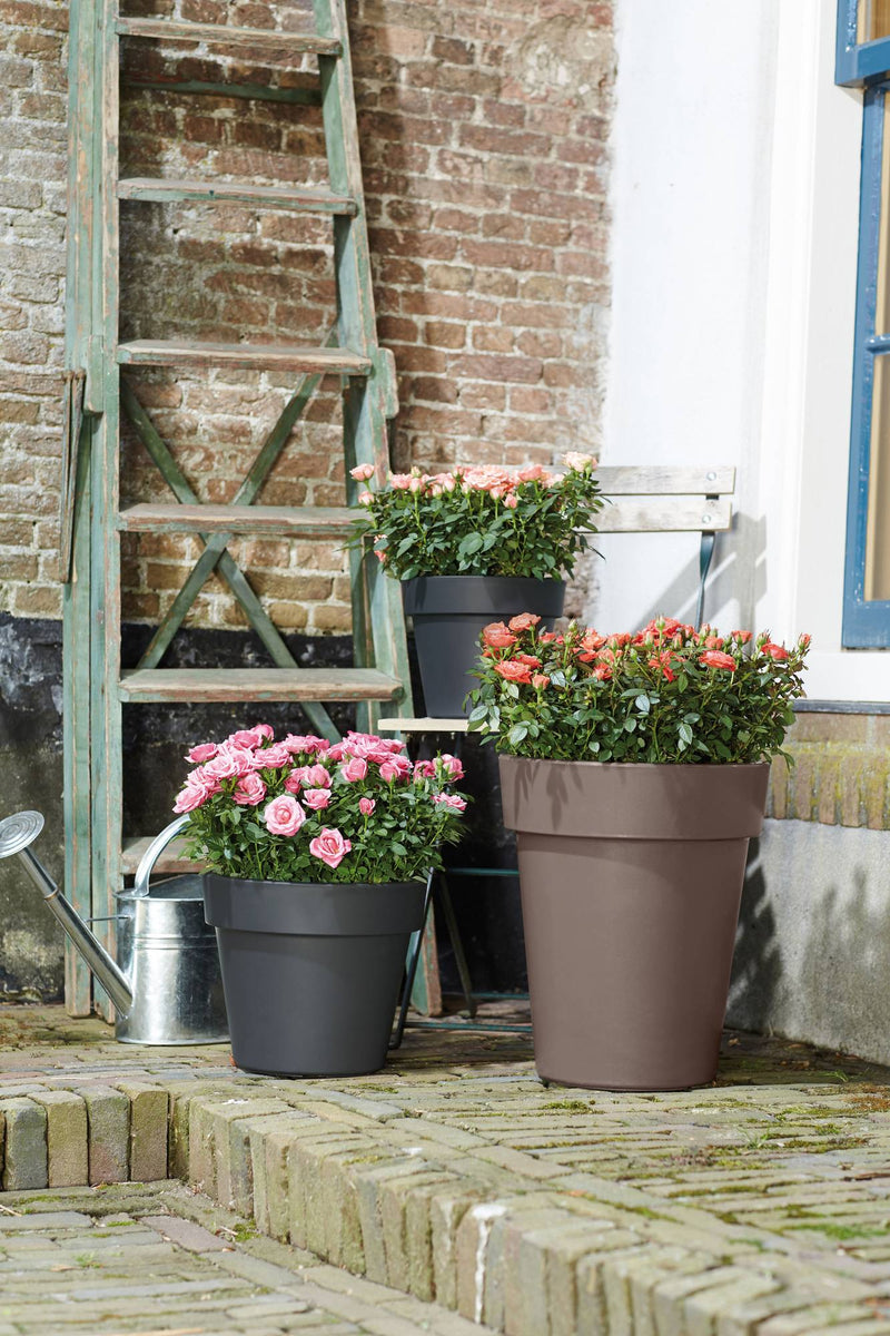 Elho Green Basics Top Planter High range – range lifestyle inspiration