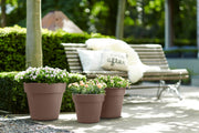 Elho Green Basics Top Planter range – range lifestyle inspiration