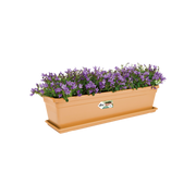 Elho Green Basics Trough range – planted display