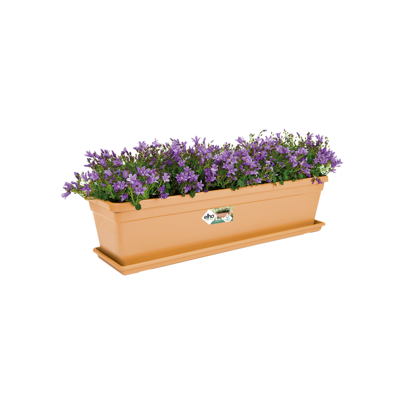 Elho Green Basics Trough range – planted display