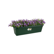 Elho Green Basics Trough range – planted display