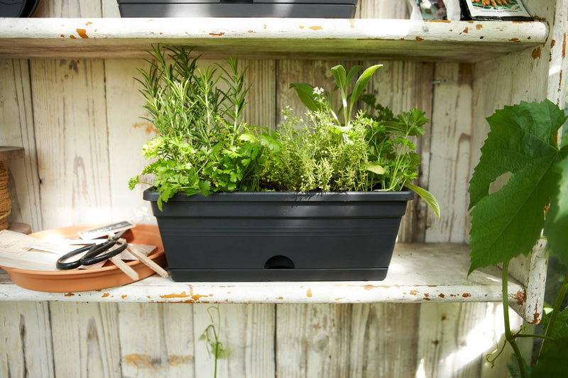 Elho Green Basics Trough Mini range – range lifestyle inspiration