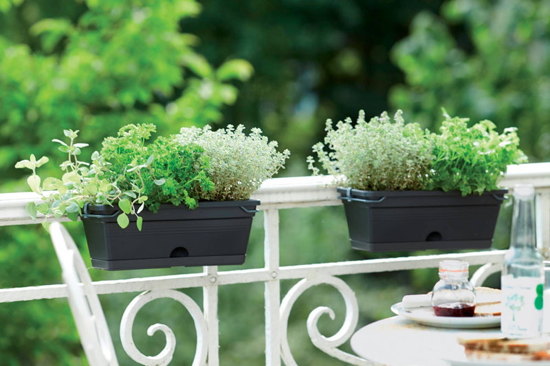 Elho Green Basics Trough Mini range – range lifestyle inspiration