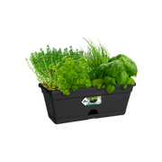 Elho Green Basics Trough Mini 30cm Living Black – planted display