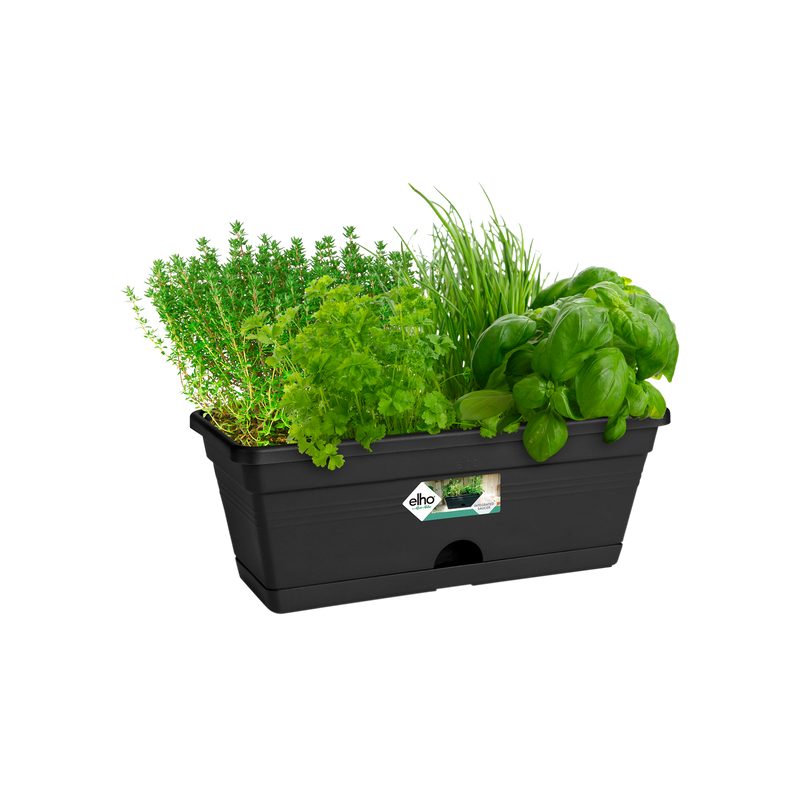 Elho Green Basics Trough Mini 30cm Living Black – planted display