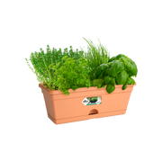 Elho Green Basics Trough Mini 30cm Mild Terracotta – planted display