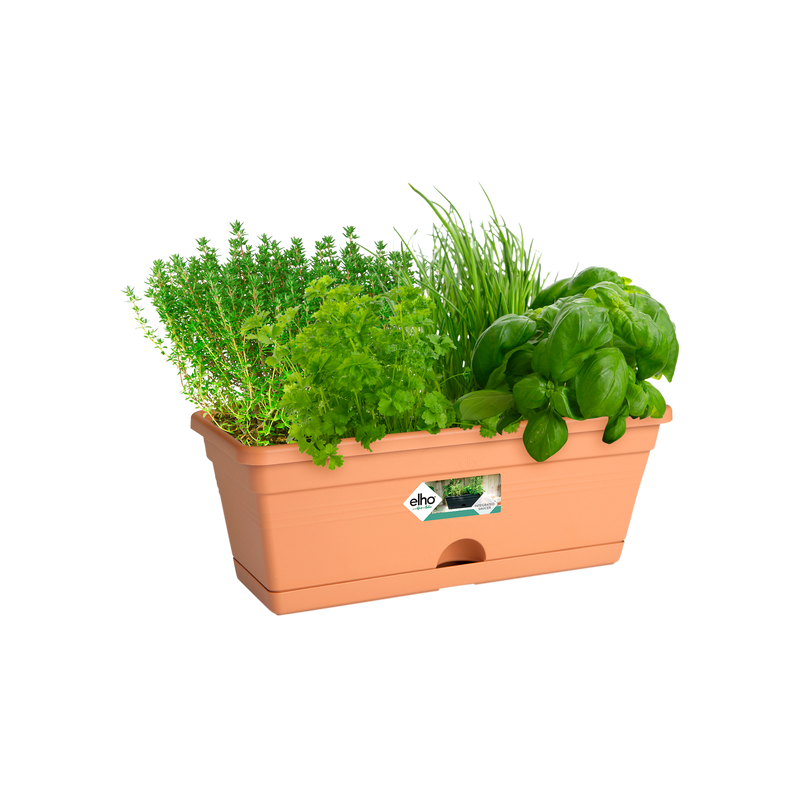 Elho Green Basics Trough Mini 30cm Mild Terracotta – planted display