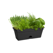 Elho Green Basics Trough Mini 30cm Living Black – planted display