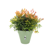 Elho Loft Urban Round range – planted display