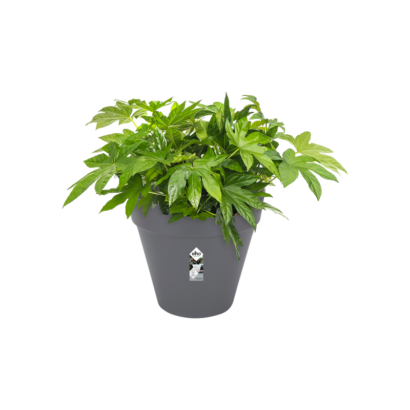 Elho Loft Urban Round Wheels 50cm Anthracite – planted display