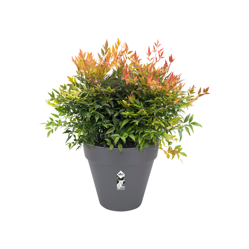 Elho Loft Urban Round Wheels 40cm Anthracite – planted display
