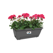 Elho Barcelona Xl All-In-One 55cm Anthracite – planted display