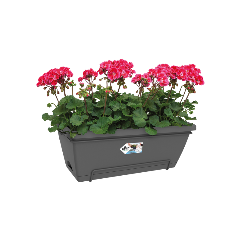 Elho Barcelona Xl All-In-One 55cm Anthracite – planted display