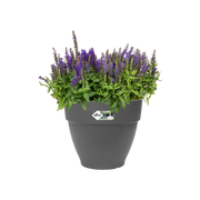 Elho Vibia Campana Round range – planted display