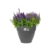 Elho Vibia Campana Round range – planted display
