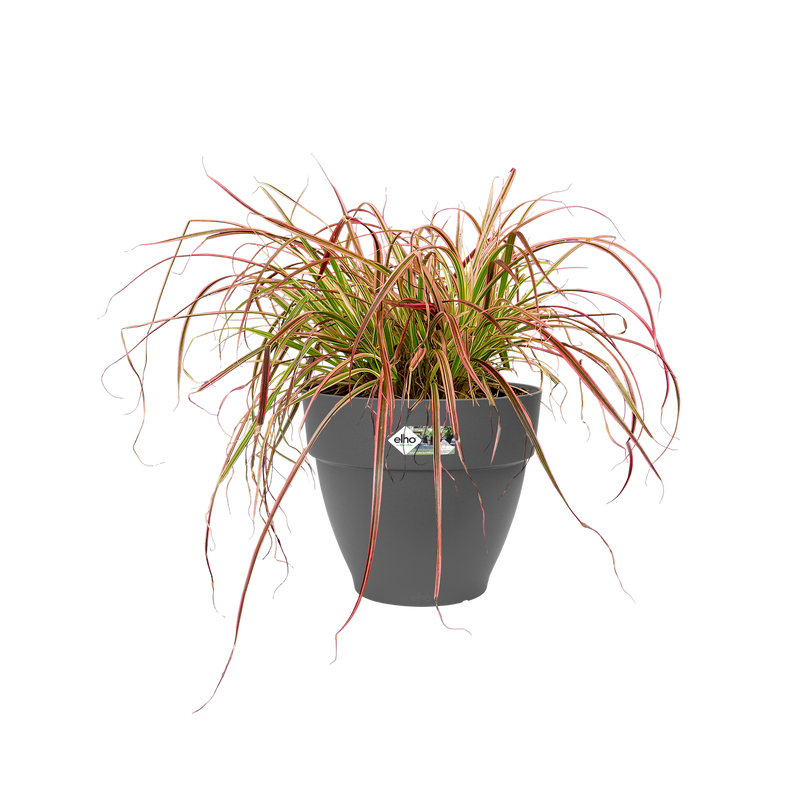 Elho Vibia Campana Round range – planted display